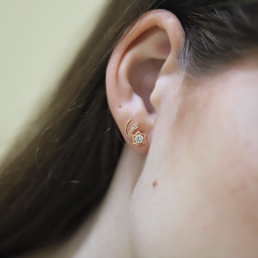 Wishing Star Earrings